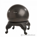 Evolution Brand Ball Chair